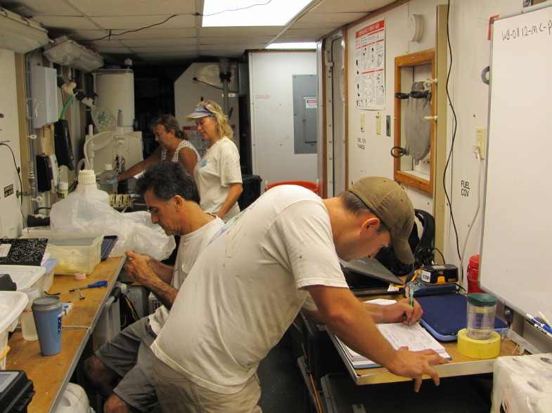 From top to bottom: C-IMAGE researchers Patty Smukall (USF Teacher-At-Sea), Theresa Greely, David Hastings, and Patrick Schwing process samples in the onboard lab lof the RV Weatherbird II. (Photo: David Levin)