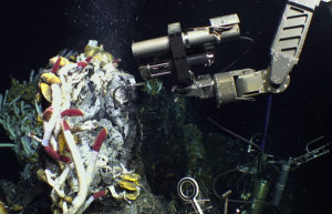 The manipulator arm on the deep-sea vehicle Jason holds a samplng instrument above a community of tubeworms at a hydrothermal vent site called "Crab Spa" on the East Pacific Rise. The device, called an Isobaric Gas-Tight sampler, collects samples of fluids and microbes spewing from the vents. 